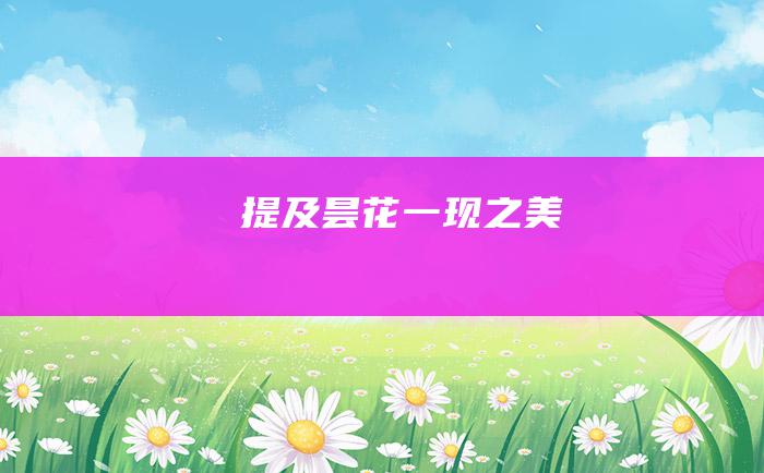 提及昙花一现之美