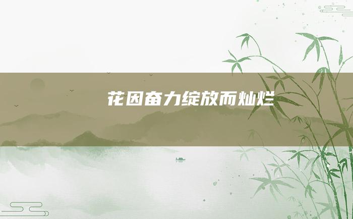 花因奋力绽放而灿烂