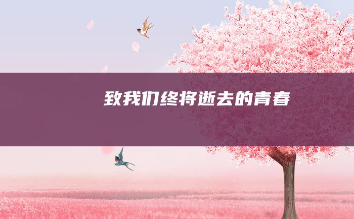 致我们 终将逝去的青春