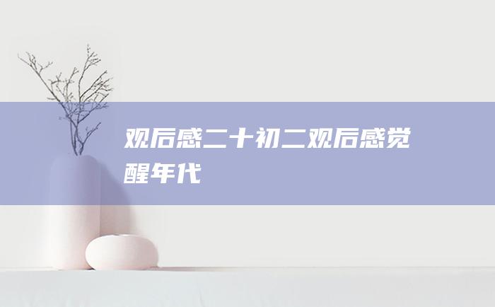 观后感二十初二观后感觉醒年代