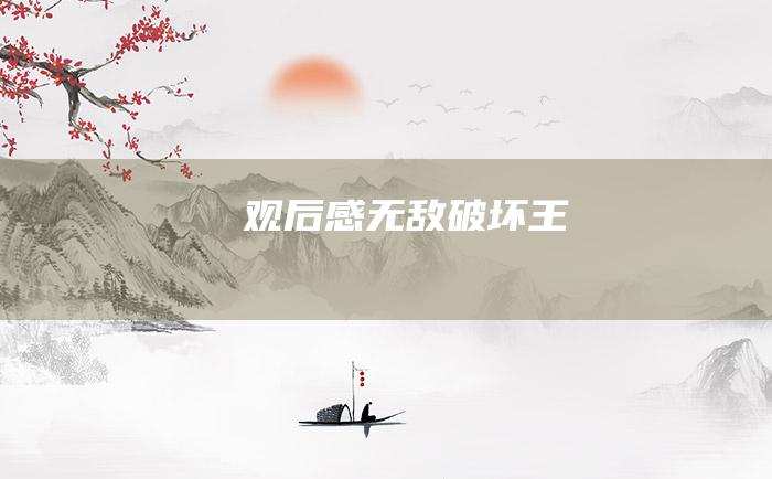 观后感无敌破坏王