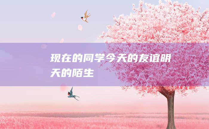 现在的同学 今天的友谊 明天的陌生