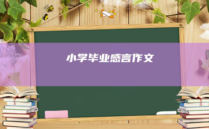 小学毕业感言作文