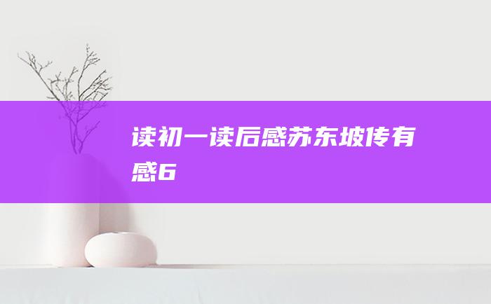 读初一读后感苏东坡传有感6