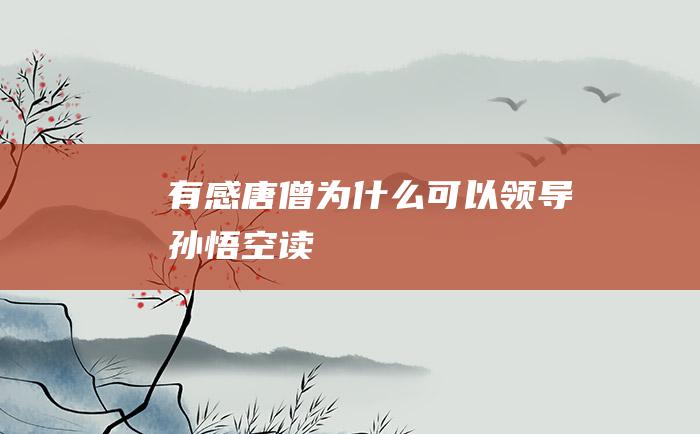 有感 唐僧为什么可以领导孙悟空 读