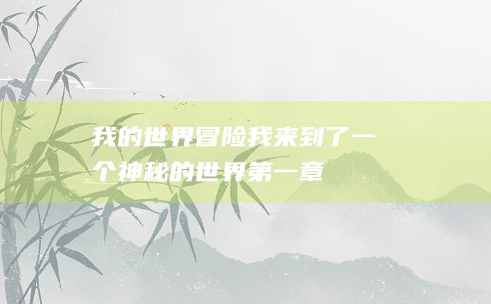 我的世界冒险 我来到了一个神秘的世界 第一章