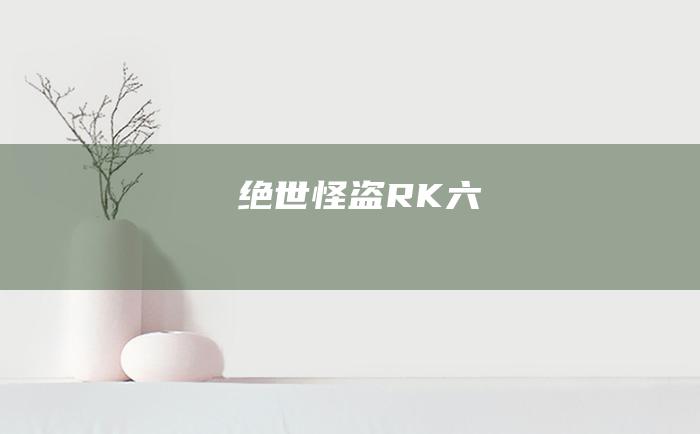 绝世怪盗RK 六