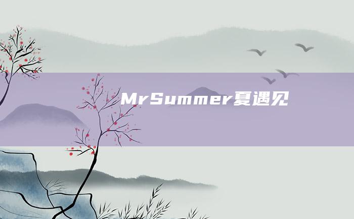 Mr.Summer 夏 遇见