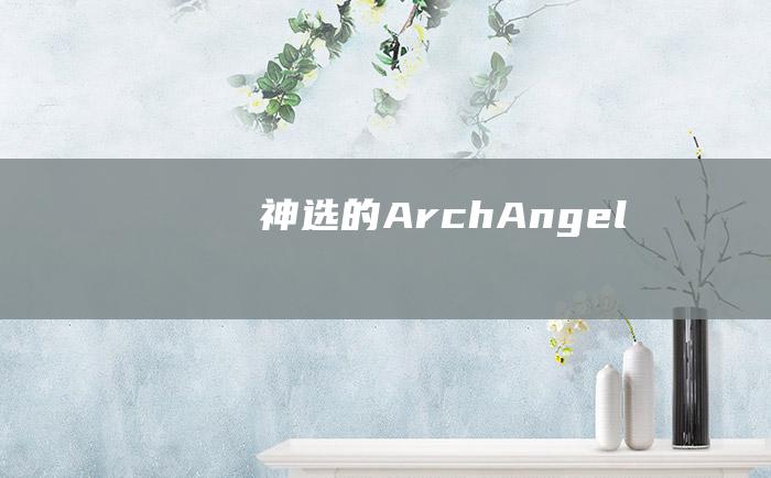 神选的ArchAngel